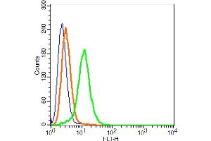 MCF7 cells probed with CACNA1G Polyclonal Antibody, ALEXA FLUOR® 488 Conjugated (bs-2781R-A488) at 1:100 for 30 minutes compared to control cells (blue) and isotype control (orange).