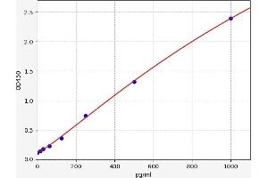 Meteorin, Glial Cell Differentiation Regulator (METRN) ELISA Kit