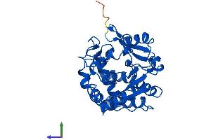 AlphaFold protein structure predicition of Human Recombinant SULT1A2 Protein, UniprotID P50226