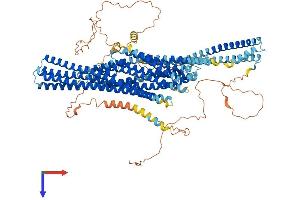 AlphaFold protein structure predicition of Mouse Recombinant Evc Protein, UniprotID P57680