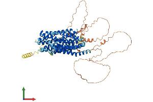 AlphaFold protein structure predicition of Mouse Recombinant Slc20a1 Protein, UniprotID Q61609