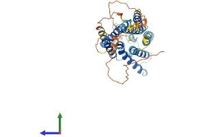 AlphaFold protein structure predicition of Mouse Recombinant Gpr143 Protein, UniprotID P70259