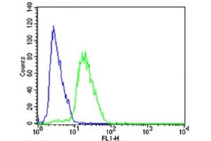 Flow cytometric analysis of SH-SY5Y cells using STMN2 Antibody (N-term)(green, Cat(ABIN6243305 and ABIN6577588)) compared to an isotype control of rabbit IgG(blue).