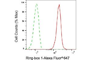 Flow cytometric analysis of Ring-box 1 expression in C2C12 cells using Ring-box 1 antibody (ABIN7800253), 1:2,000).