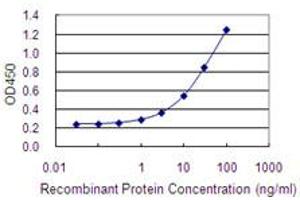 Detection limit for recombinant GST tagged LOXL4 is 0.