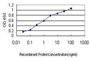 Detection limit for recombinant GST tagged APOA2 is approximately 0. (APOA2 anticorps  (AA 1-100))
