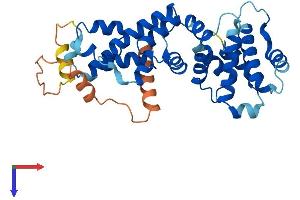AlphaFold protein structure predicition of Human Recombinant FBXO8 Protein, UniprotID Q9NRD0