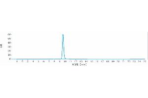 The purity of Anti- Human CLDN6( IMAB027)is 98. (Recombinant Claudin 6 anticorps)