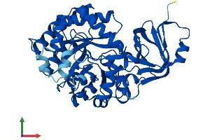 AlphaFold protein structure predicition of Mouse Recombinant Amdhd1 Protein, UniprotID Q9DBA8