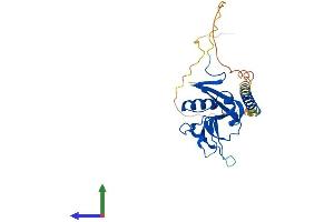 AlphaFold protein structure predicition of Human Recombinant CLEC7A Protein, UniprotID Q9BXN2