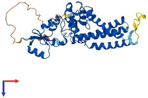AlphaFold protein structure predicition of Mouse Recombinant Fa2h Protein, UniprotID Q5MPP0