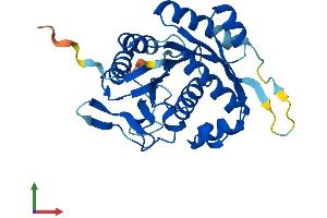 AlphaFold protein structure predicition of Human Recombinant NUBP2 Protein, UniprotID Q9Y5Y2