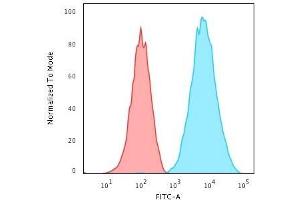 Flow Cytometric Analysis of Raji cells.