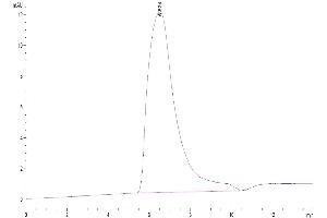 The purity of Biotinylated Human NKG2A is greater than 95 % as determined by SEC-HPLC.