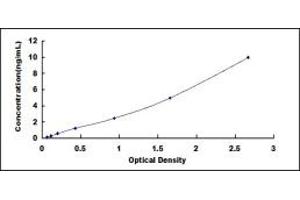 Typical standard curve (LOXL4 Kit ELISA)
