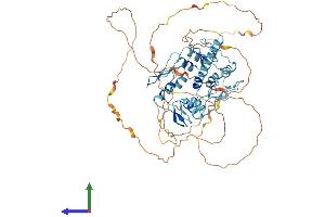 AlphaFold protein structure predicition of Human Recombinant ZNF358 Protein, UniprotID Q9NW07