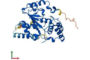 AlphaFold protein structure predicition of Human Recombinant SULT4A1 Protein, UniprotID Q9BR01