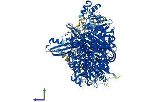 AlphaFold protein structure predicition of Mouse Recombinant Pfas Protein, UniprotID Q5SUR0