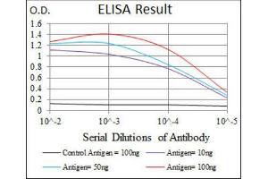 ELISA image for anti-Neurofilament, Heavy Polypeptide (NEFH) (AA 968-1020) antibody (ABIN1844517) (NEFH anticorps  (AA 968-1020))