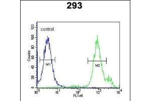 SLC9A9 Antibody (C-term) (ABIN651604 and ABIN2840319) flow cytometric analysis of 293 cells (right histogram) compared to a negative control cell (left histogram). (SLC9A9 anticorps  (C-Term))