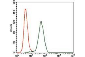 Flow cytometric analysis of HeLa cells using KEAP1 mouse mAb (green) and negative control (red).