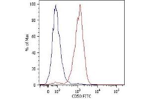 Surface staining of JURKAT humanleukemia T cell line with anti-human CD50 (MEM-171) FITC.