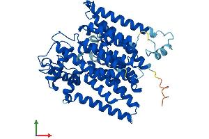 AlphaFold protein structure predicition of Mouse Recombinant Alg6 Protein, UniprotID Q3TAE8