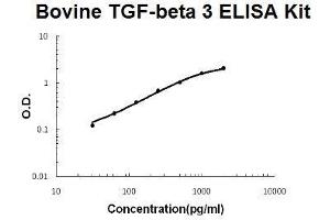 Bovine TGF-beta 3 PicoKine ELISA Kit standard curve (TGFB3 Kit ELISA)