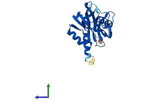 AlphaFold protein structure predicition of Human Recombinant NUDT5 Protein, UniprotID Q9UKK9