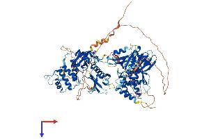 AlphaFold protein structure predicition of Mouse Recombinant Ptpn4 Protein, UniprotID Q9WU22