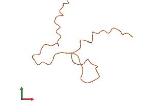 AlphaFold protein structure predicition of Mouse Recombinant Krtap8-1 Protein, UniprotID O08633