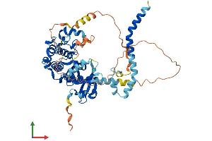 AlphaFold protein structure predicition of Human Recombinant STK3 Protein, UniprotID Q13188