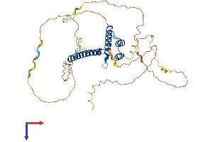 AlphaFold protein structure predicition of Human Recombinant NEUROD2 Protein, UniprotID Q15784