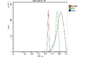 Flow Cytometry analysis of A431 cells using anti-SMS antibody (ABIN7599638). (SMS anticorps  (AA 102-365))