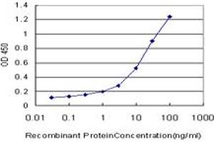 Detection limit for recombinant GST tagged KIF26A is approximately 0.