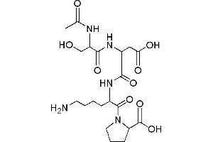 Image no. 1 for N-Acetyl-Ser-Asp-Lys-Pro (AcSDKP) peptide (ABIN399628) (N-Acetyl-Ser-Asp-Lys-Pro (AcSDKP) Peptide)