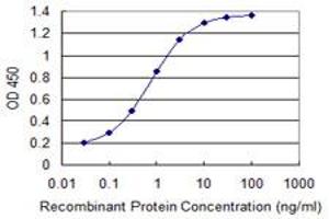 Detection limit for recombinant GST tagged NDUFA8 is 0.