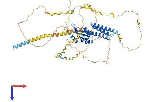 AlphaFold protein structure predicition of Human Recombinant CPSF6 Protein, UniprotID Q16630