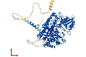 AlphaFold protein structure predicition of Human Recombinant TFRC Protein, UniprotID P02786