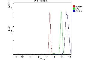 Flow Cytometry analysis of MCF-7 cells using anti-GRHL2 antibody (ABIN7599505).