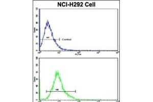 Flow cytometric analysis of NCI- cells using ELF4 Antibody (Center)(bottom histogram) compared to a negative control cell (top histogram).