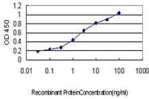 Detection limit for recombinant GST tagged IRF1 is approximately 0. (IRF1 anticorps  (AA 216-325))