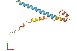 AlphaFold protein structure predicition of Mouse Recombinant Phxr4 Protein, UniprotID P15974