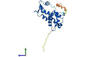 AlphaFold protein structure predicition of Human Recombinant MYL6B Protein, UniprotID P14649