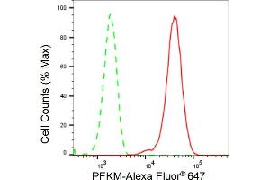 Flow cytometric analysis of PFKM expression in HepG2 cells using PFKM antibody (ABIN7799801), 1:2,000). (Recombinant PFKM anticorps)