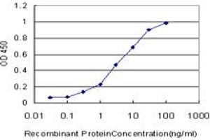 Detection limit for recombinant GST tagged BOLL is approximately 0. (BOLL anticorps  (AA 185-283))