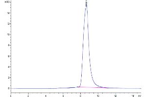The purity of Human CPM is greater than 95 % as determined by SEC-HPLC. (CPM Protein (AA 18-423) (His tag))