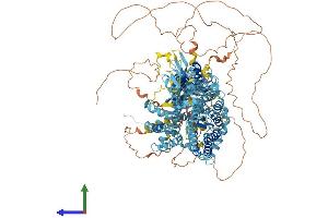 AlphaFold protein structure predicition of Human Recombinant SLC4A7 Protein, UniprotID Q9Y6M7