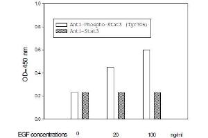 A431 cells were stimulated by different concentrations of EGF for 10 min at 37 °C
