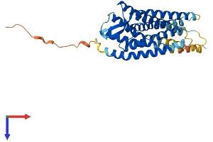 AlphaFold protein structure predicition of Mouse Recombinant Bdkrb1 Protein, UniprotID Q61125